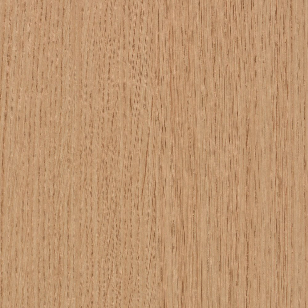 More_Woods_SWS-54.jpg